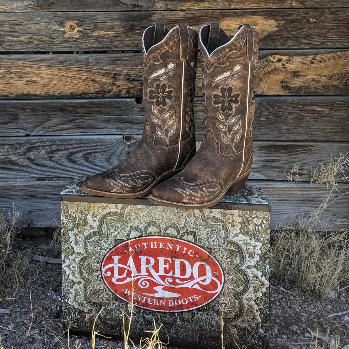 PXL_20240208_214616616_1200x12