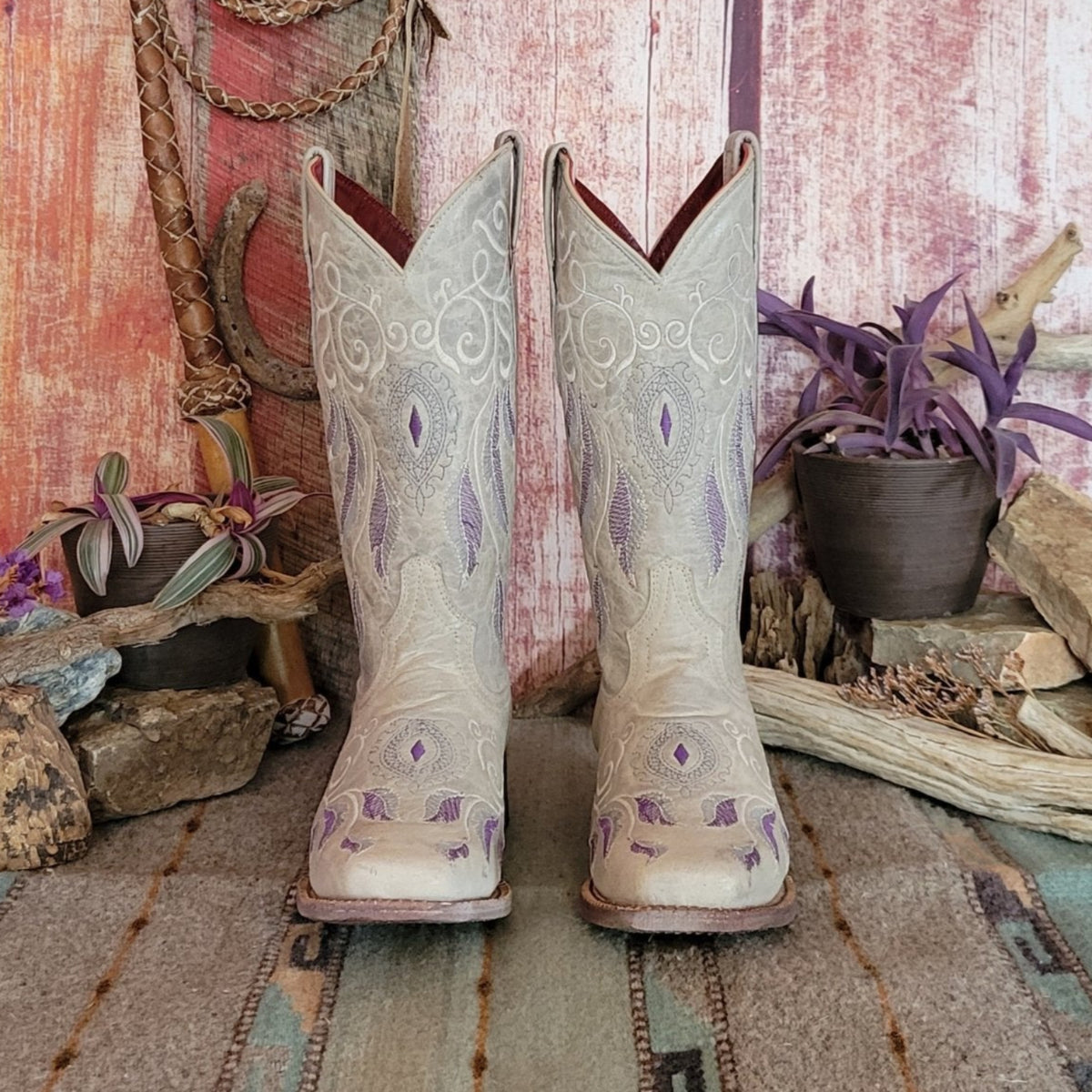 Ferrini boots australia shop
