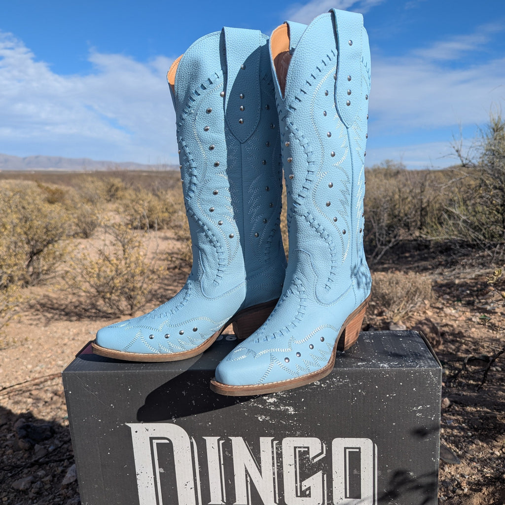 Women's  Light Blue Leather Boots "Pretty 'N Pink" by Dingo DI2220