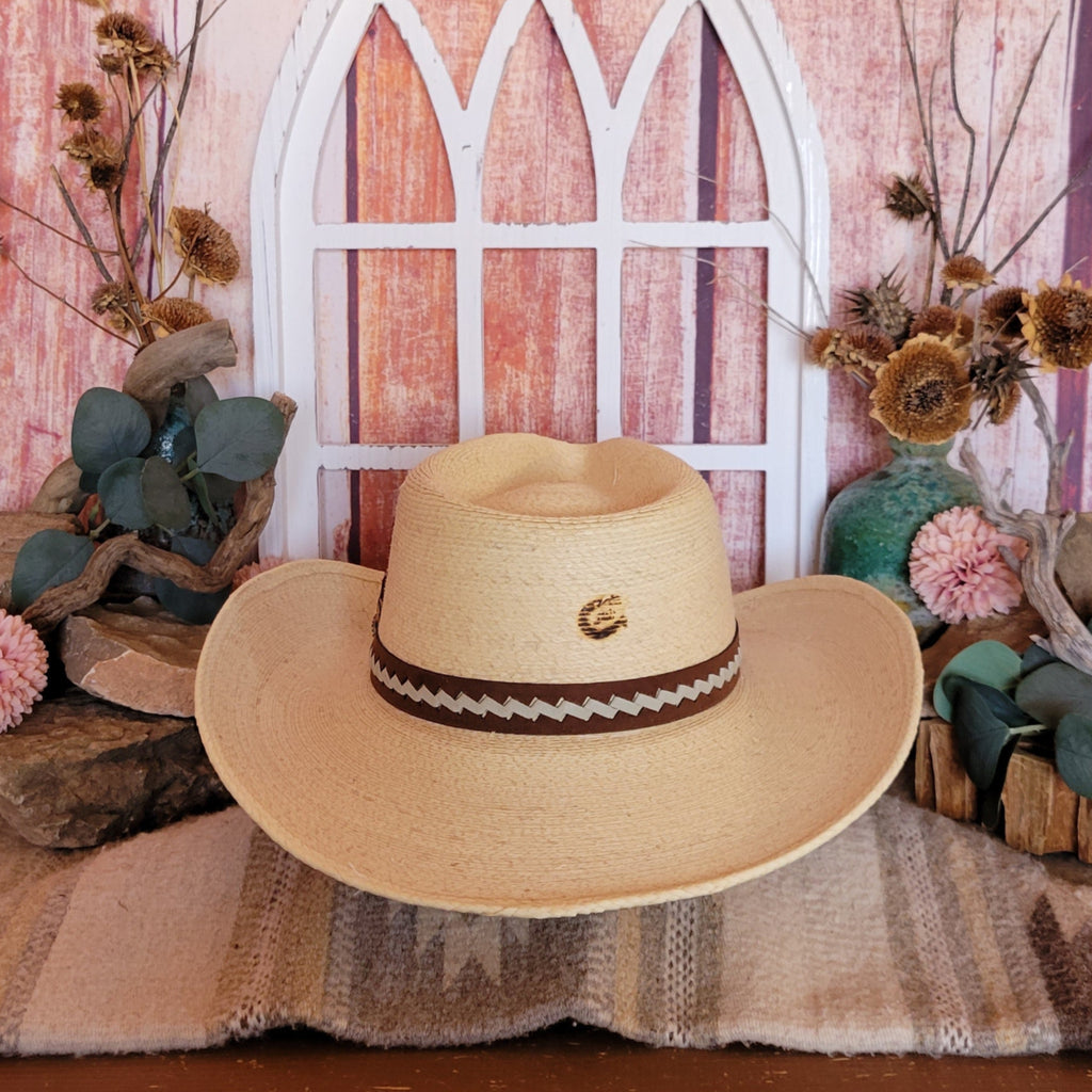 Palm Hat "Road Runner" Lainey Wilson Collection by Charlie 1 Horse  CSRDRN-40348T Back View