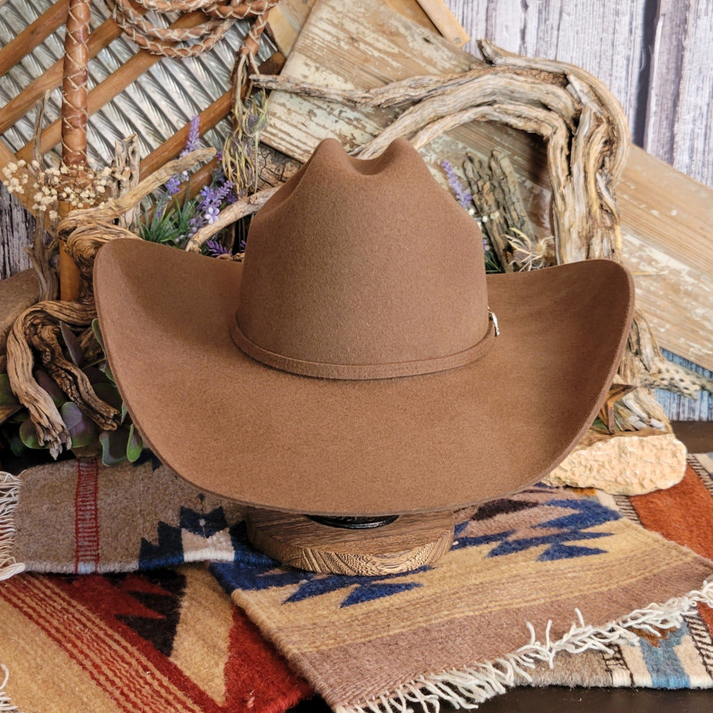 Brown cowgirl hat with felt band.