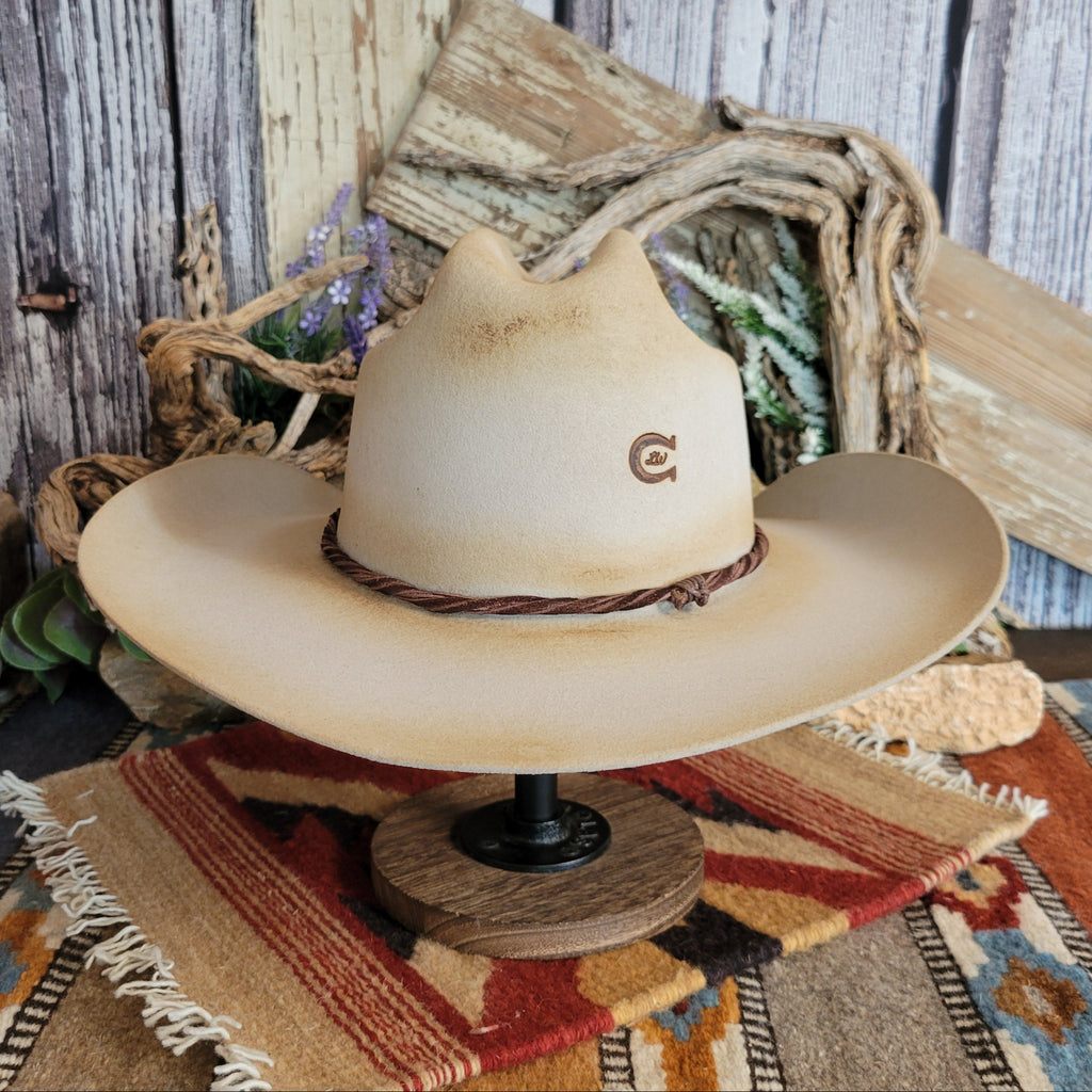 The back features a horseshoe brand and band.