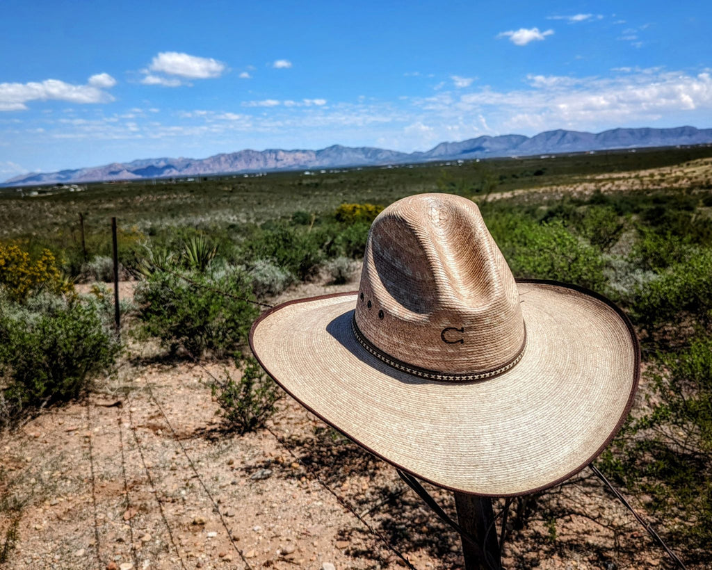Charlie 1 horse Bandito B mexican palm hat on fence post with mountains in background