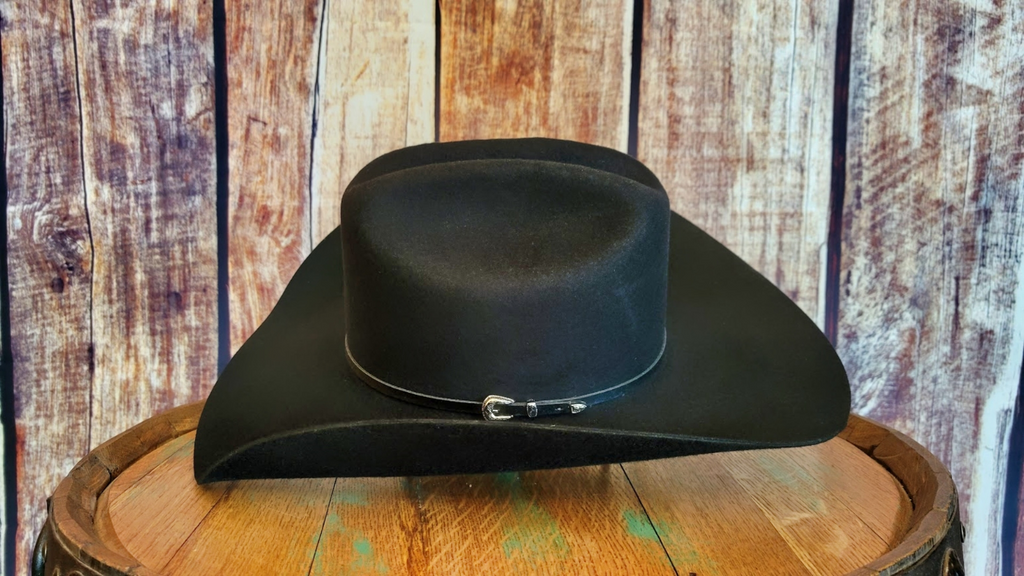 3X Wool Hat, the “Bankston” by Resistol Side/Crown View